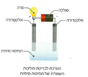 (בספר איור, היעזר במנחה)